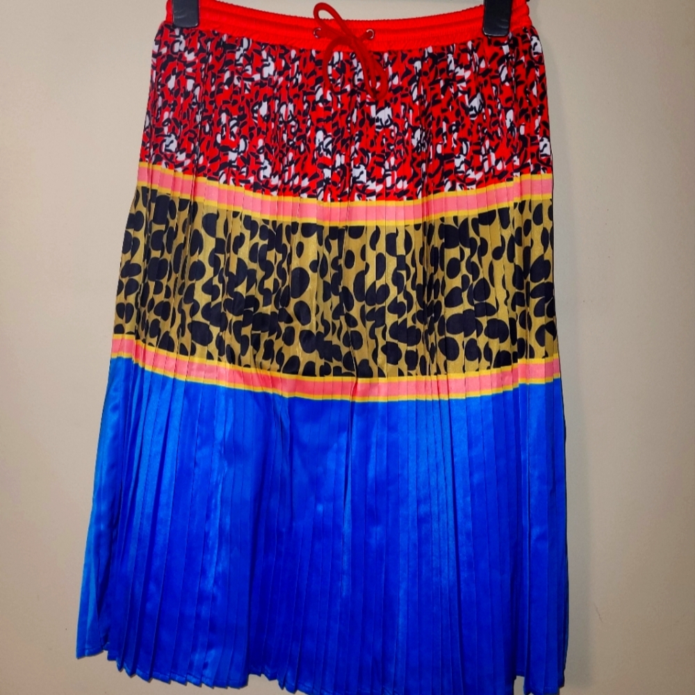 Multi colored pleated skirt